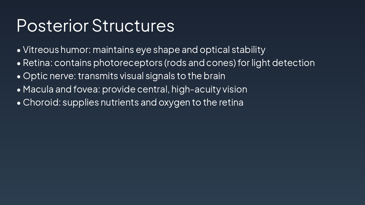 Slide 5 - Posterior Structures