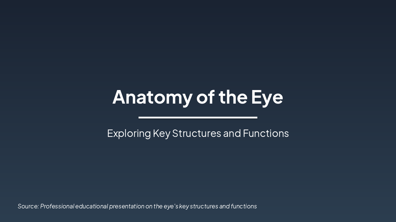 Anatomy of the Eye: Key Structures