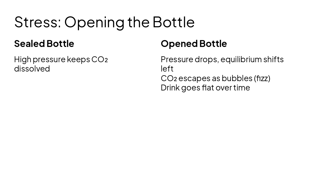 Slide 9 - Stress: Opening the Bottle