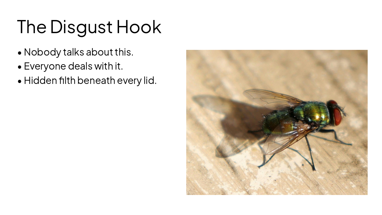 Slide 2 - The Disgust Hook