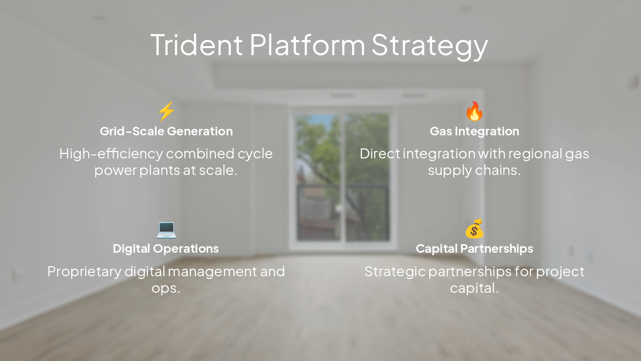 Slide 10 - Trident Platform Strategy