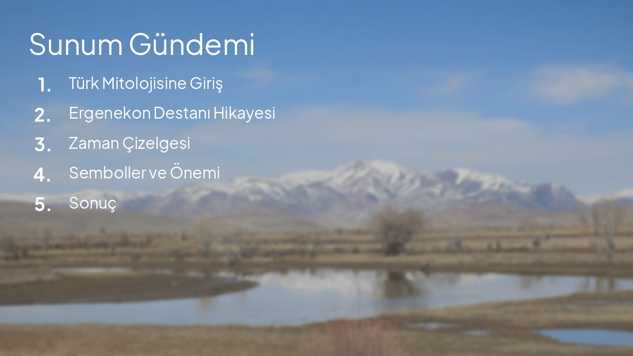 Slide 2 - Sunum Gündemi