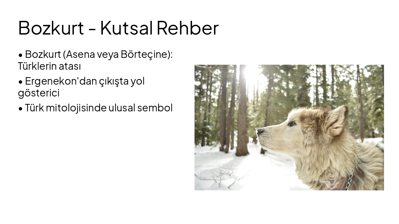 Slide 8 - Bozkurt - Kutsal Rehber