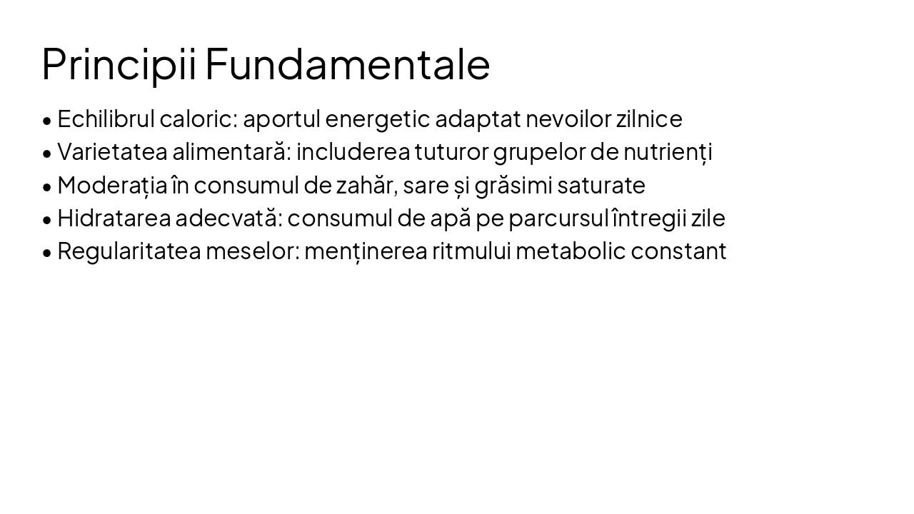Slide 4 - Principii Fundamentale