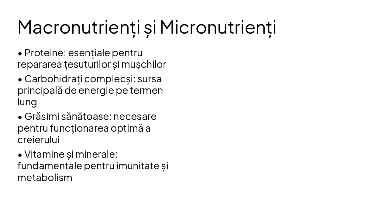 Slide 6 - Macronutrienți și Micronutrienți