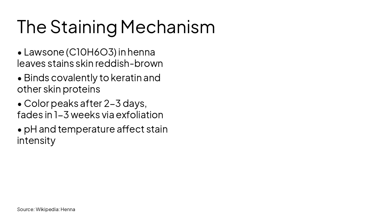 Slide 10 - The Staining Mechanism
