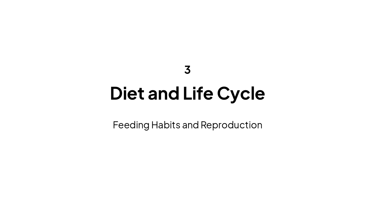 Slide 7 - Diet and Life Cycle