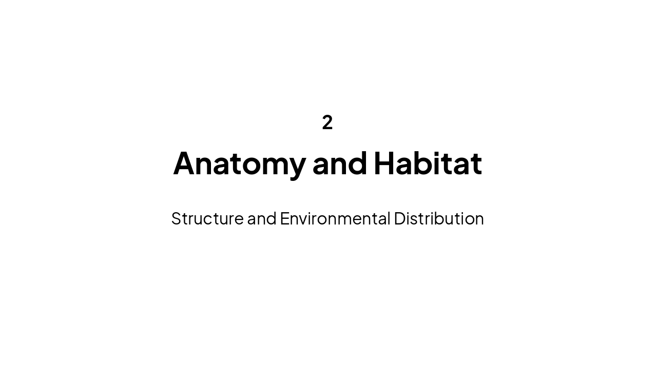 Slide 5 - Anatomy and Habitat