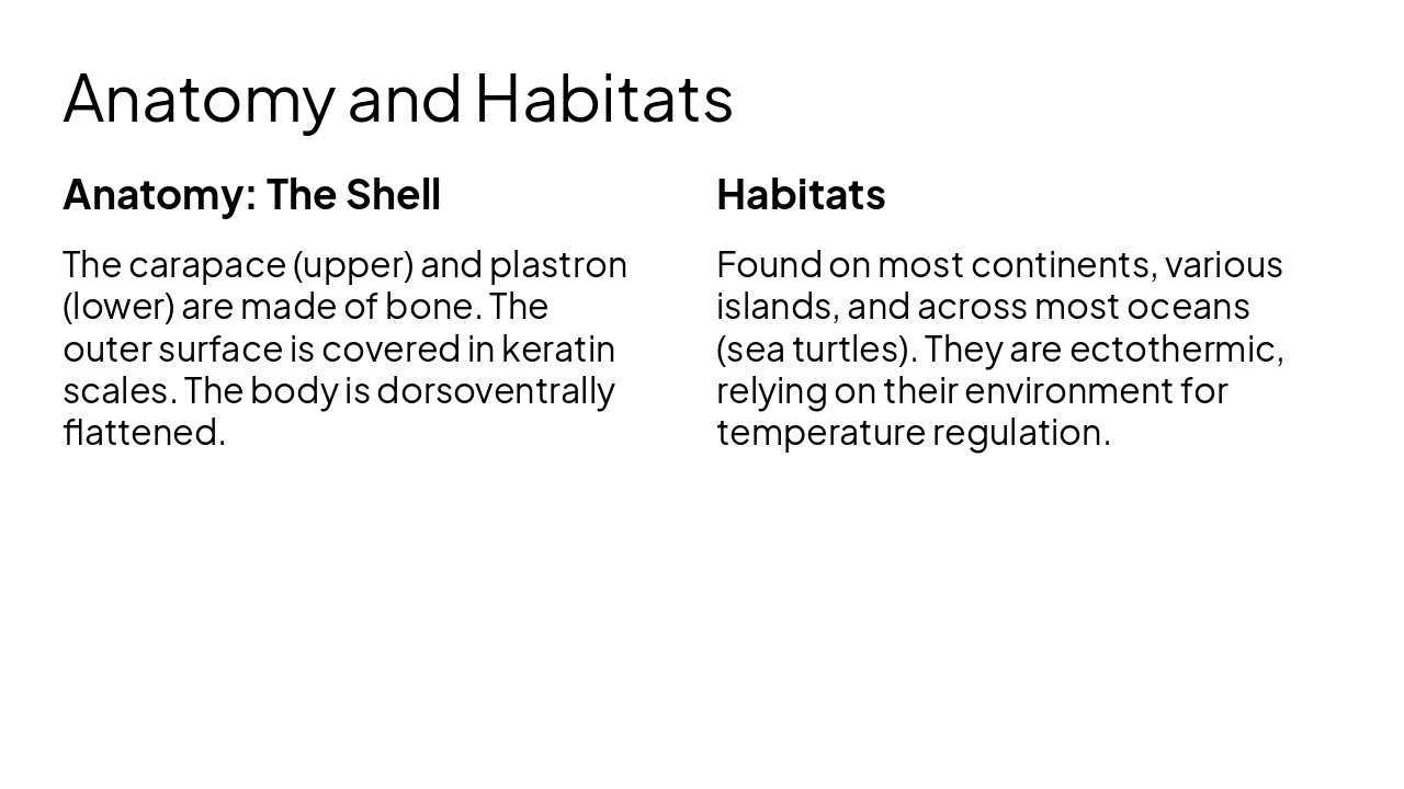 Slide 6 - Anatomy and Habitats