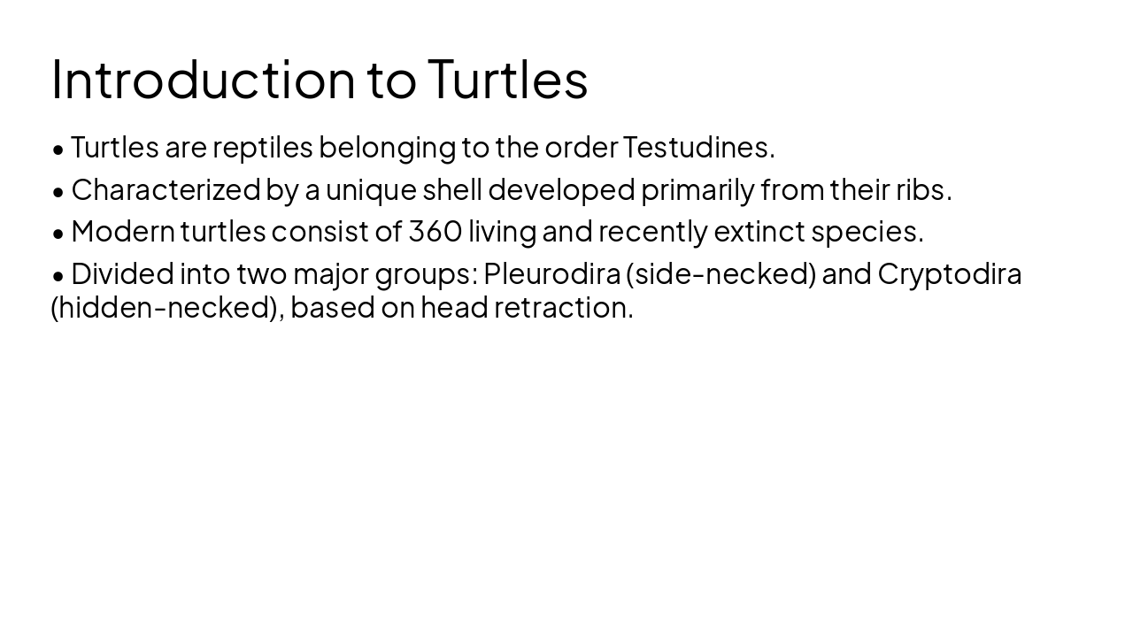 Slide 4 - Introduction to Turtles