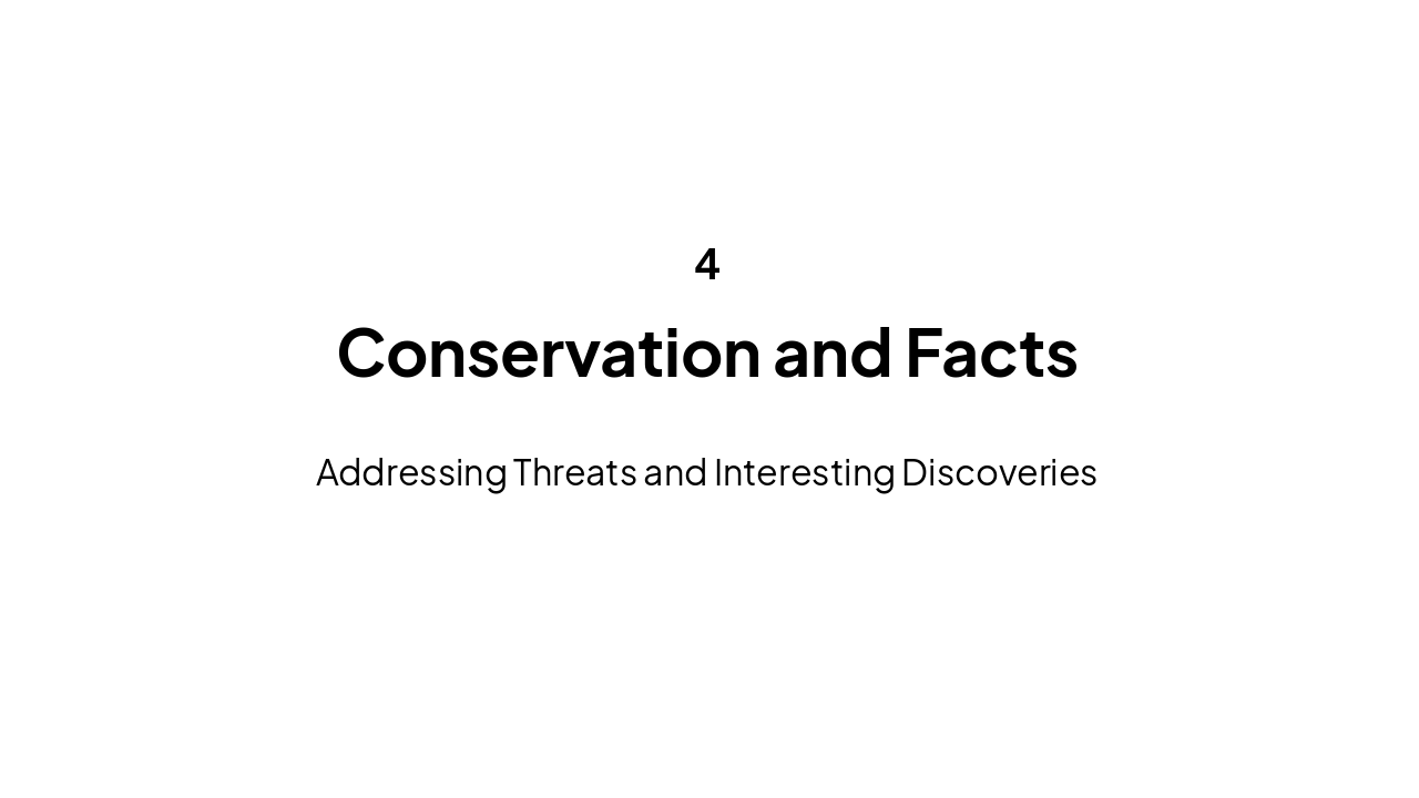 Slide 9 - Conservation and Facts