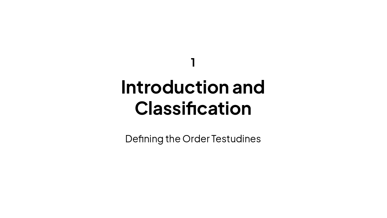 Slide 3 - Introduction and Classification