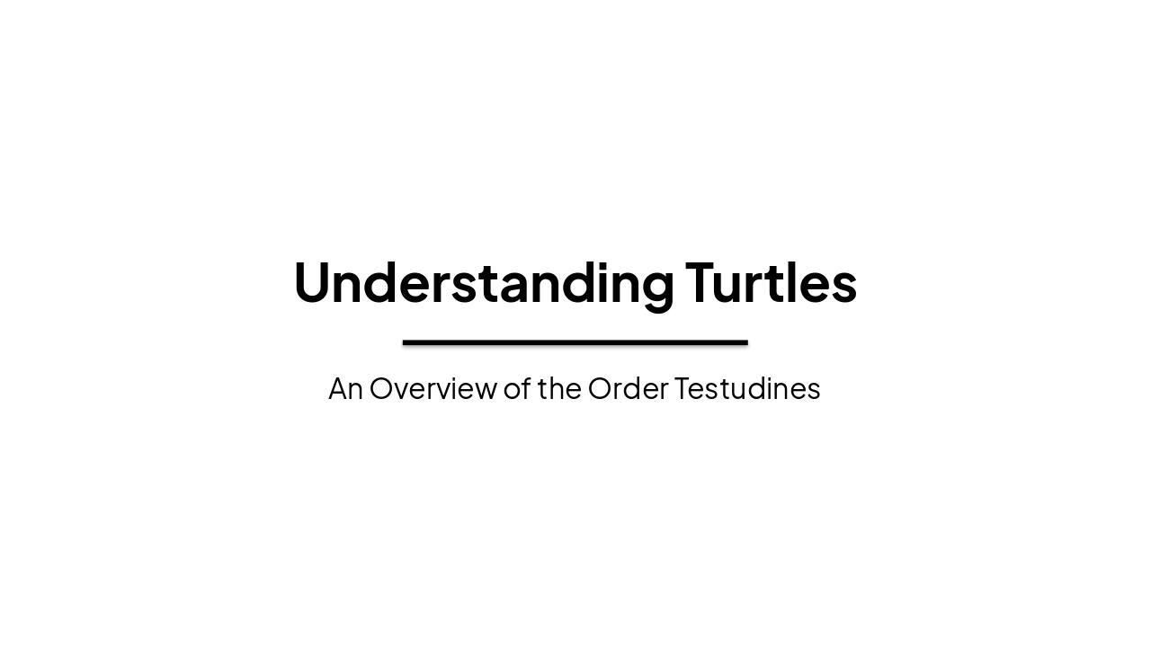 Slide 1 - Understanding Turtles