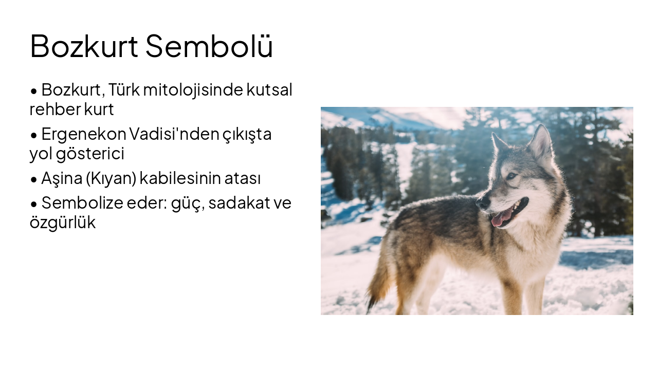 Slide 5 - Bozkurt Sembolü