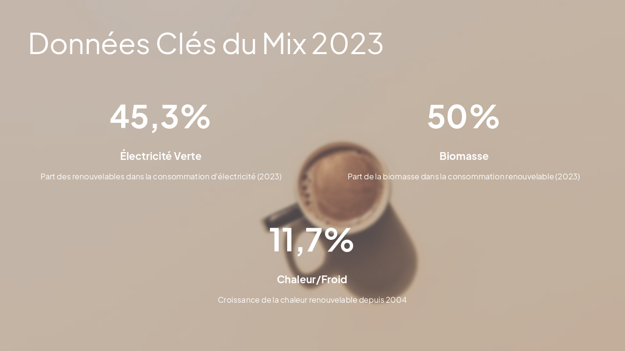 Slide 5 - Données Clés du Mix 2023