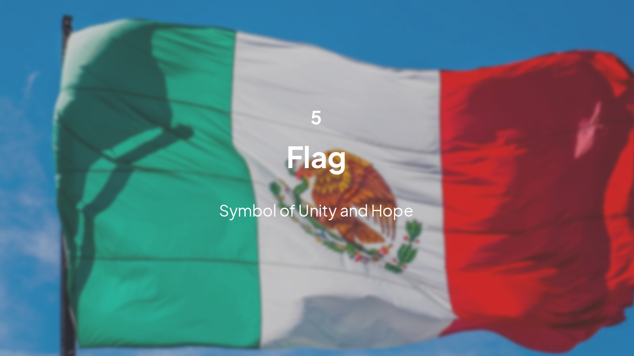 Slide 11 - Flag