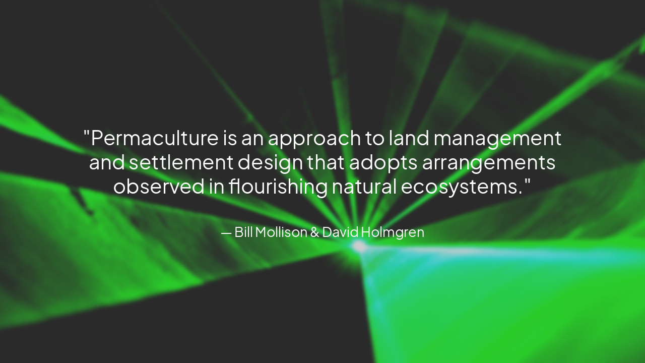 Slide 5 - Image & Quote Slide