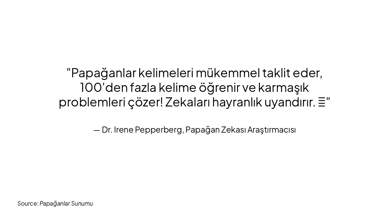 Slide 6 - Zeka ve Konuşma Yetenekleri