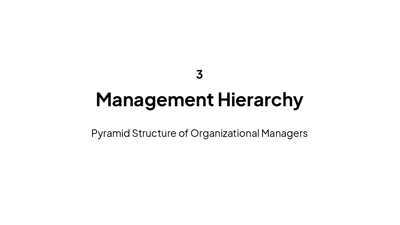 Slide 8 - Management Hierarchy