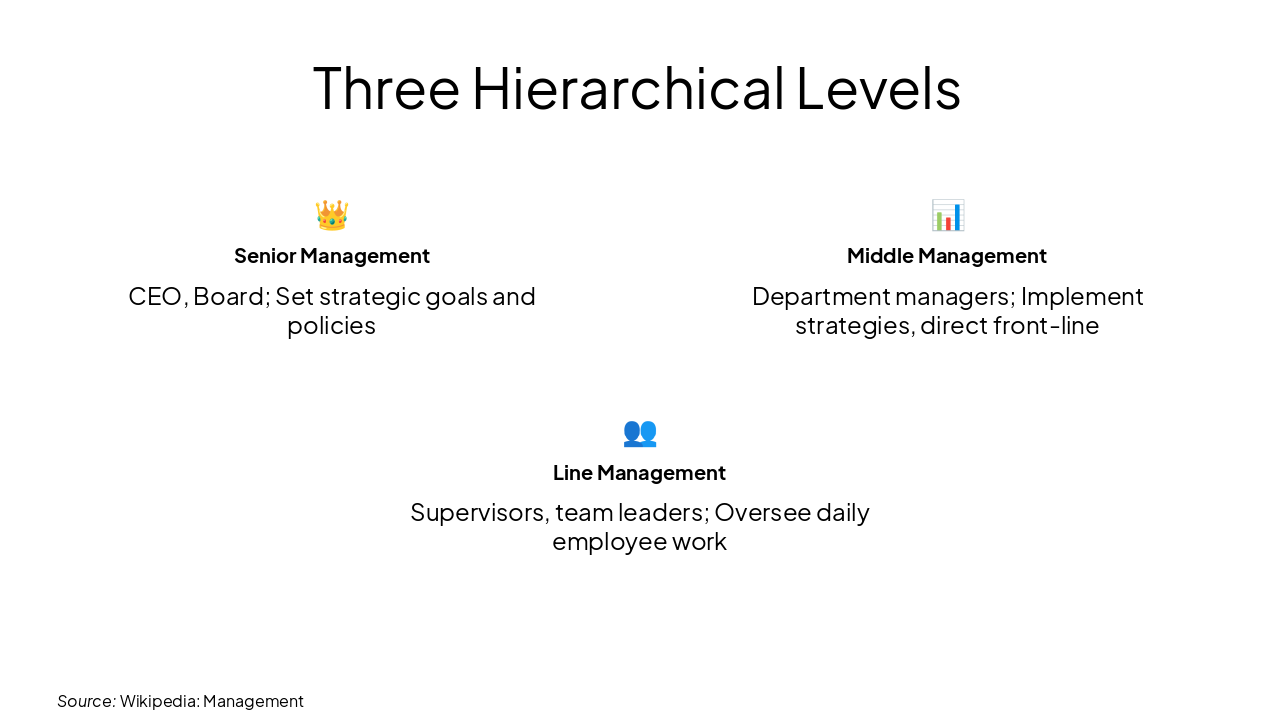 Slide 9 - Three Hierarchical Levels