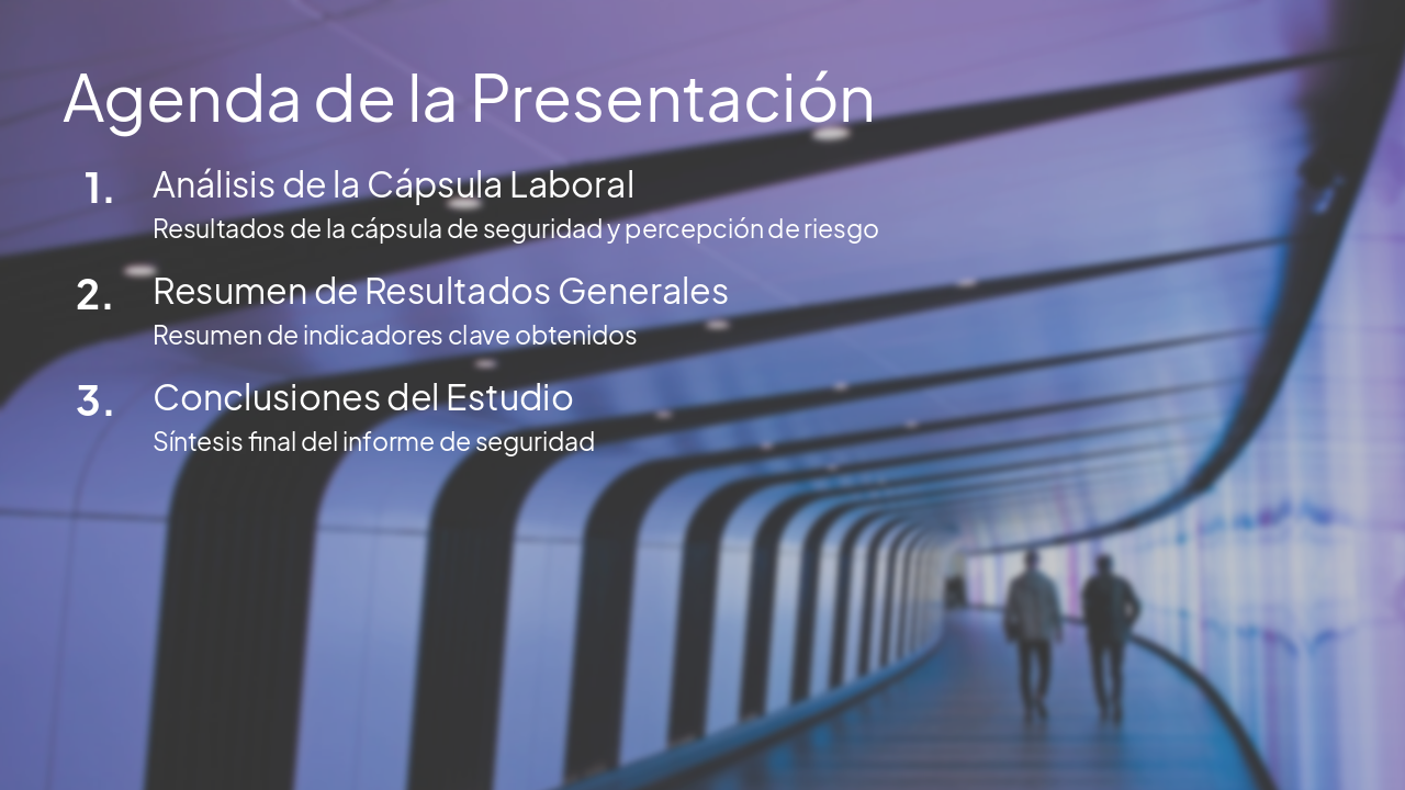 Slide 2 - Agenda de la Presentación
