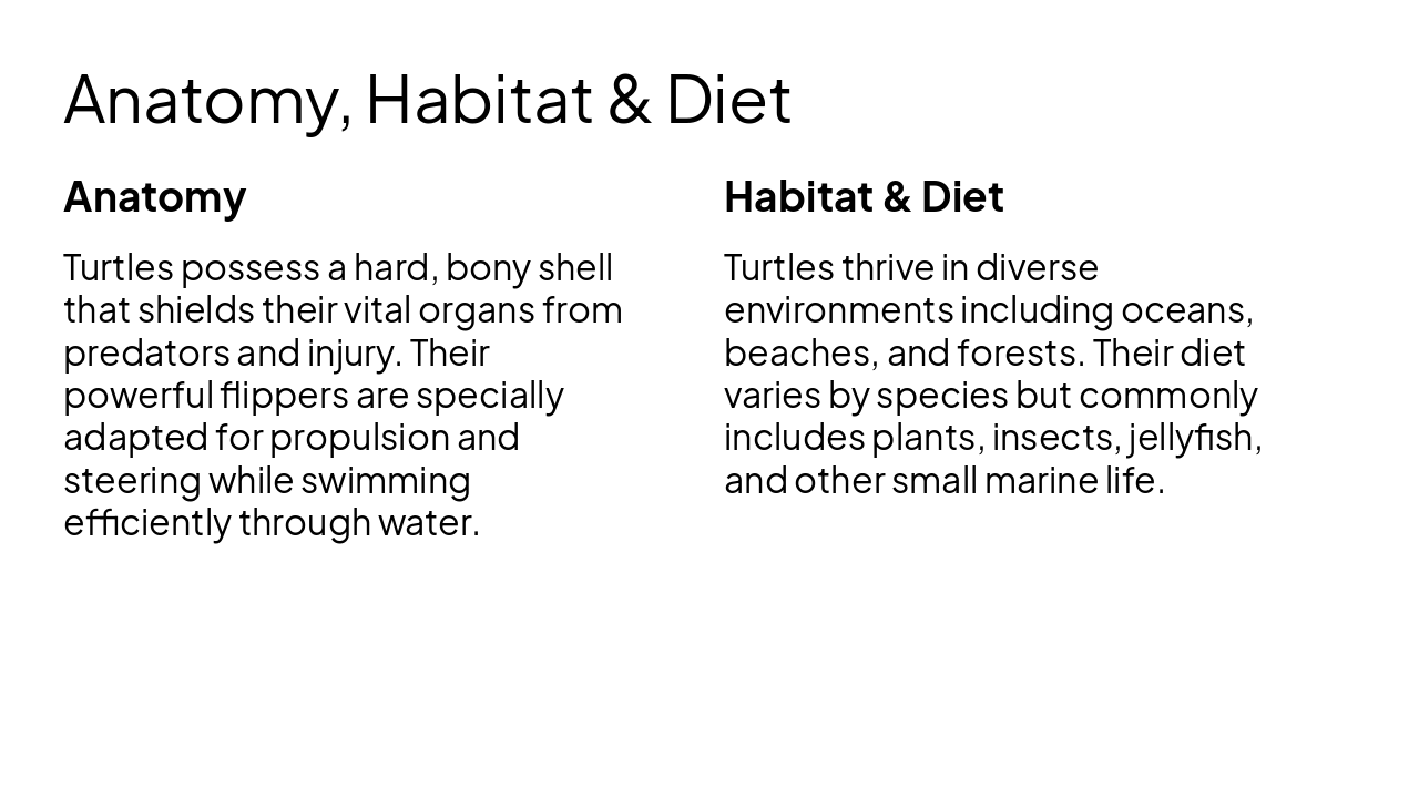 Slide 3 - Anatomy, Habitat & Diet