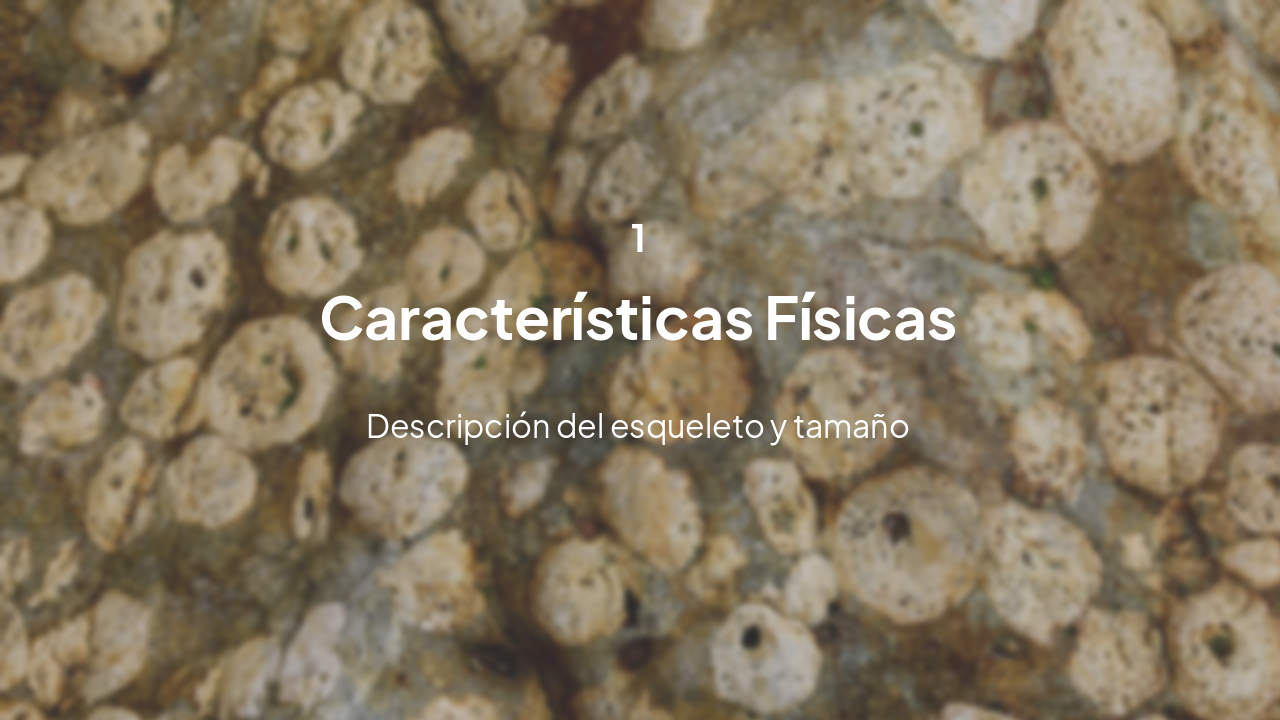 Slide 2 - Características Físicas