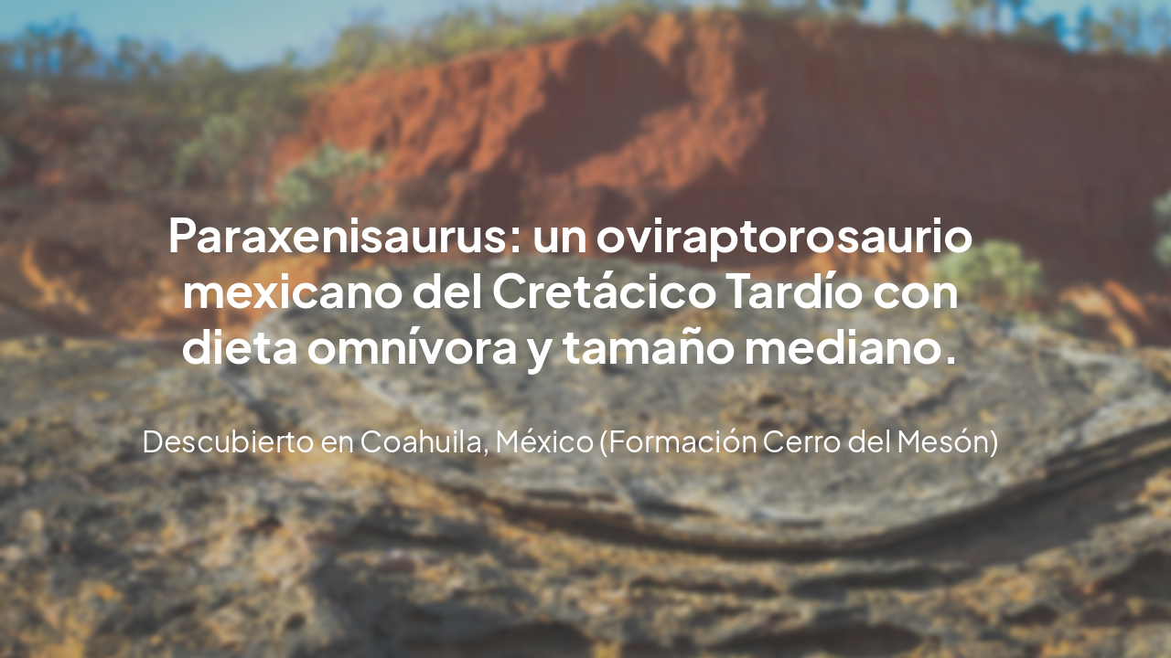 Slide 5 - Resumen