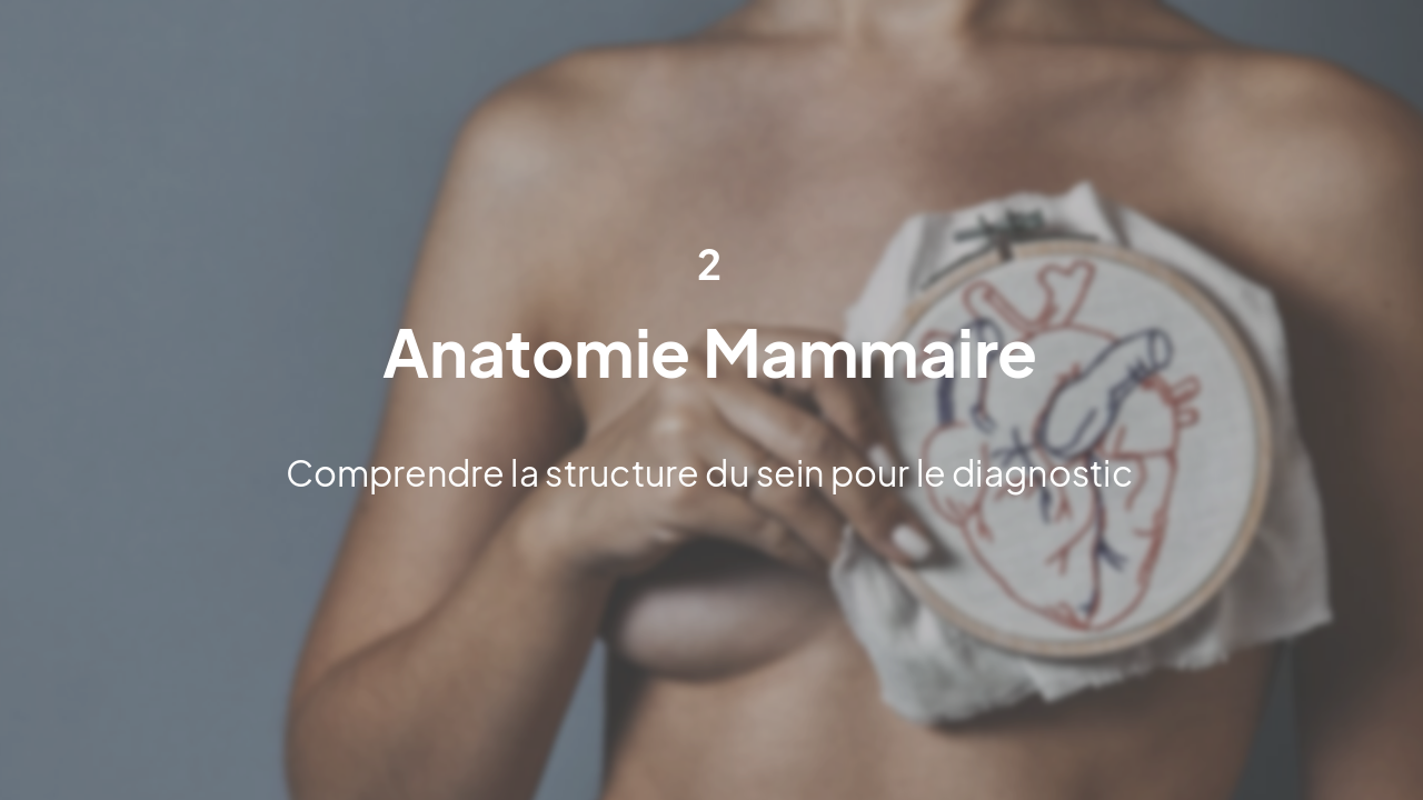Slide 5 - Anatomie Mammaire