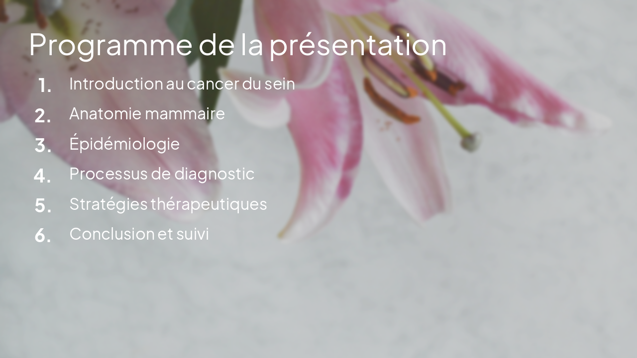 Slide 2 - Programme de la présentation