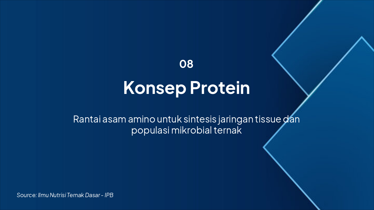 Slide 8 - Konsep Protein