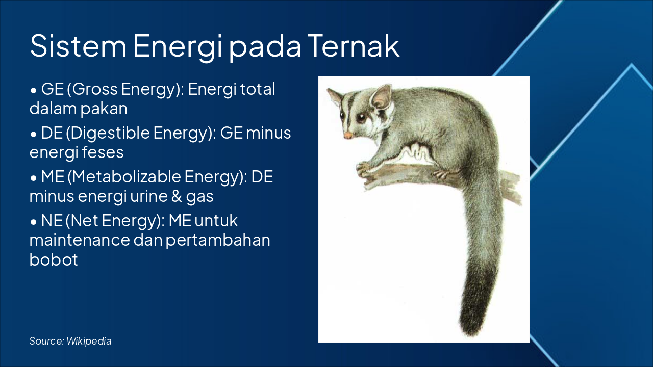 Slide 7 - Sistem Energi pada Ternak