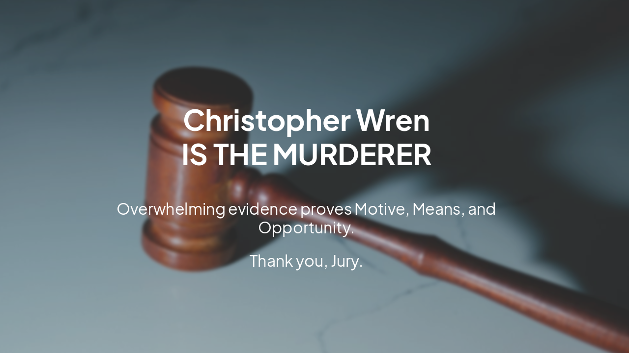 Slide 11 - Verdict