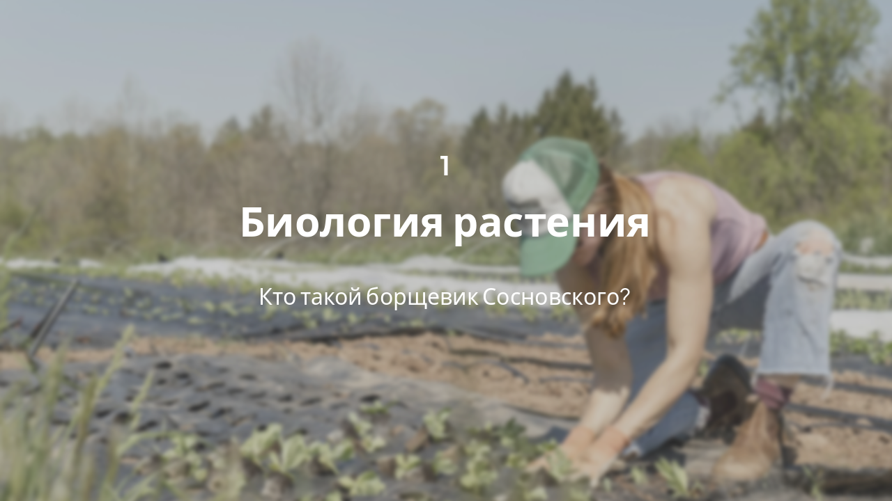 Slide 3 - Биология растения