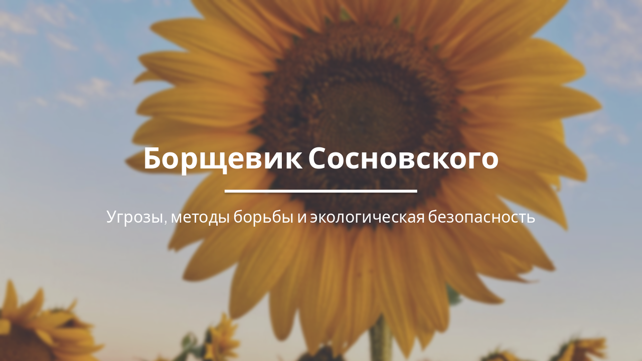 Slide 1 - Борщевик Сосновского