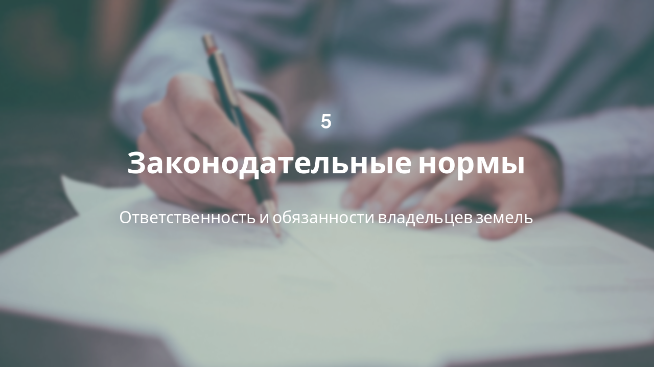 Slide 11 - Законодательные нормы