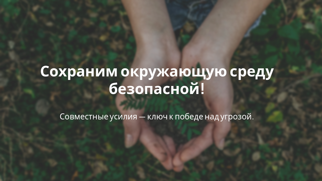 Slide 15 - Заключение