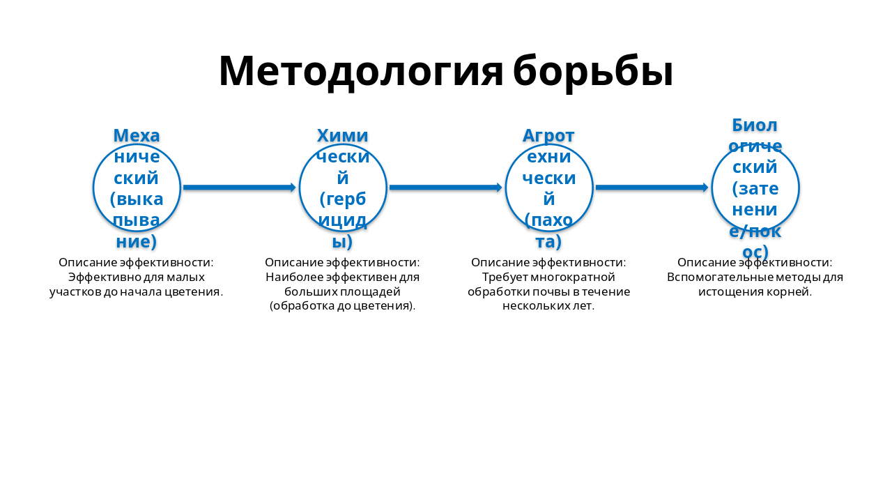 Slide 10 - Методология борьбы
