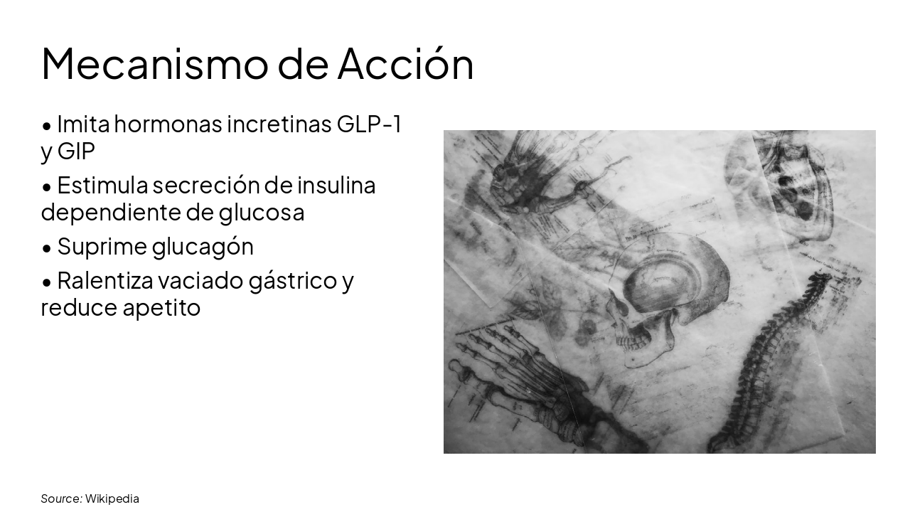 Slide 5 - Mecanismo de Acción