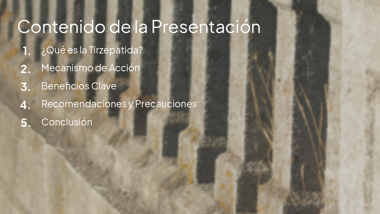Slide 2 - Contenido de la Presentación