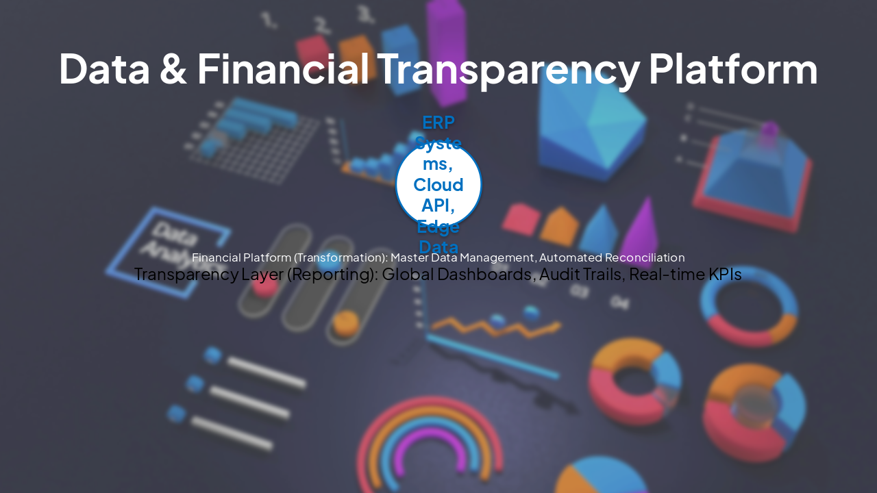 Slide 10 - Data & Financial Transparency Platform