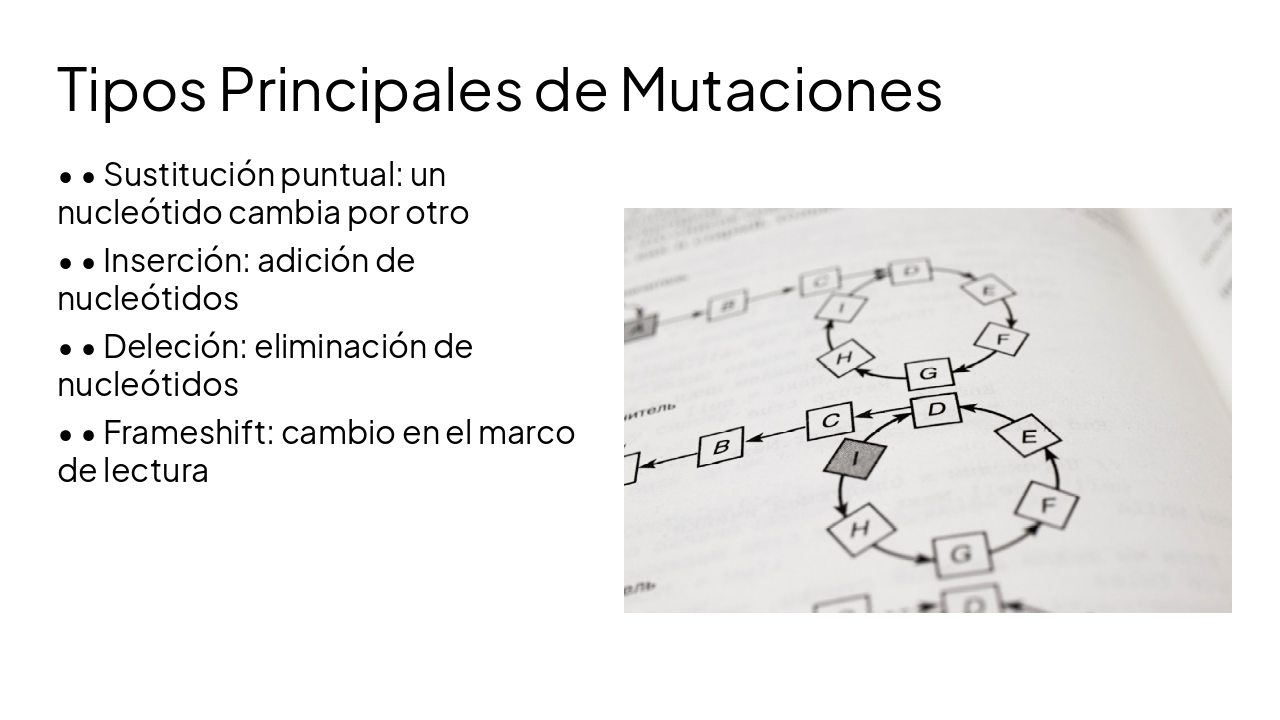 Slide 3 - Tipos Principales de Mutaciones