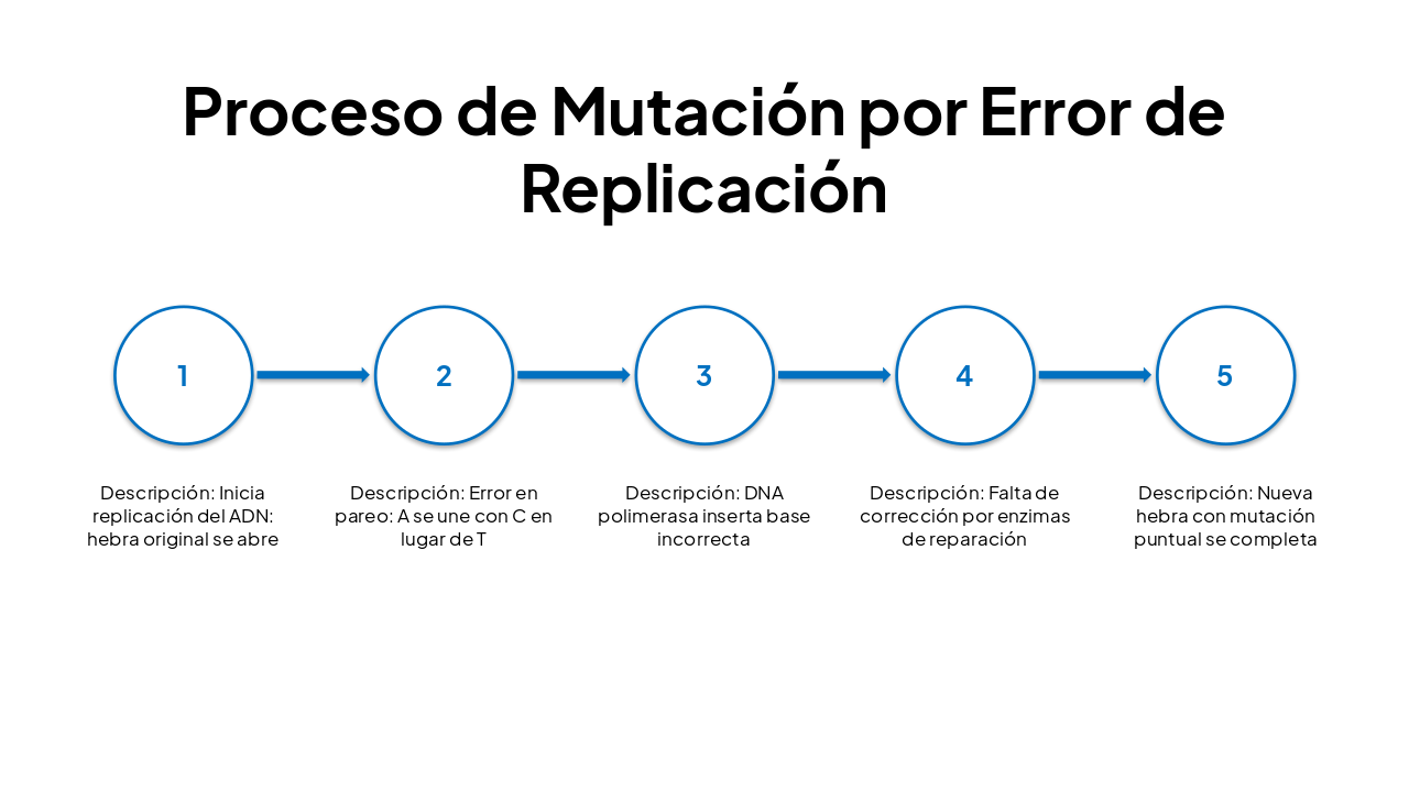 Slide 4 - Proceso de Mutación por Error de Replicación