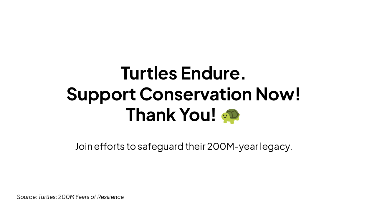 Slide 9 - Protect Our Turtles