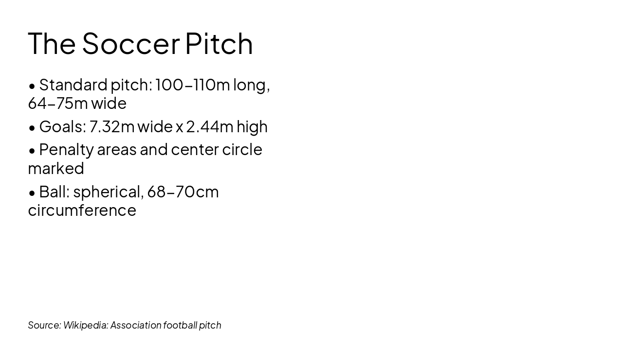 Slide 5 - The Soccer Pitch