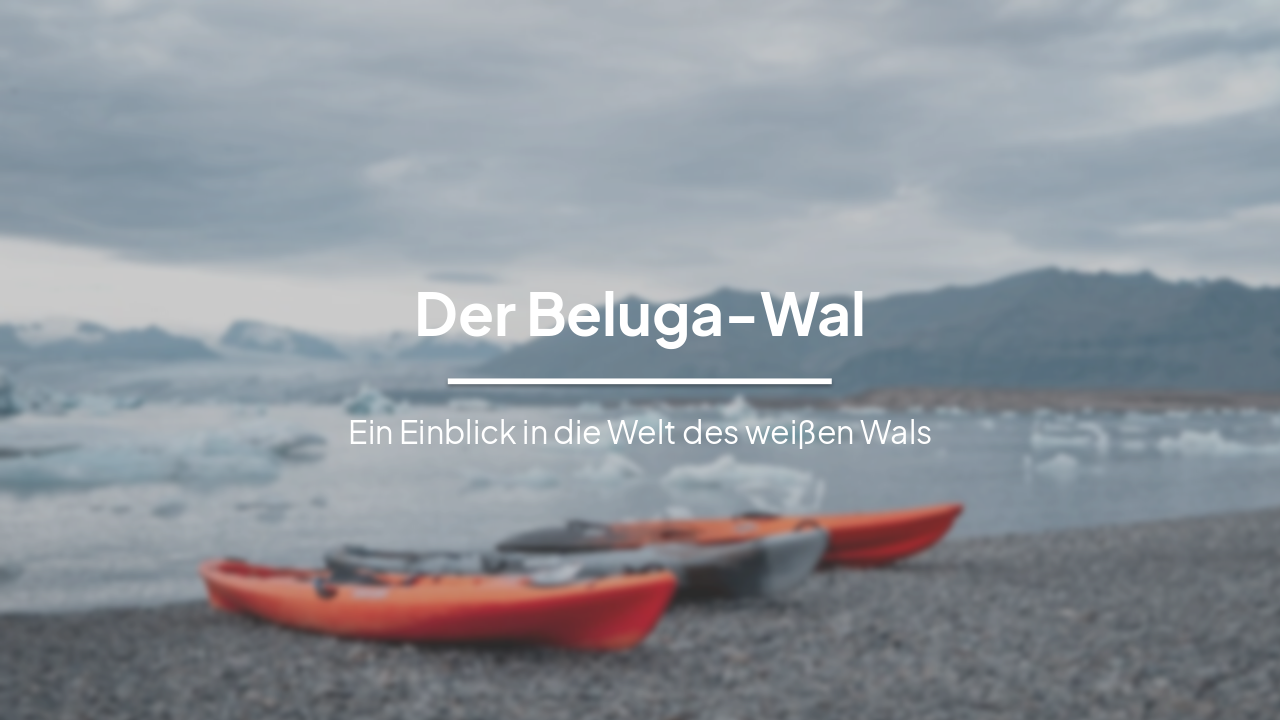 Slide 1 - Der Beluga-Wal