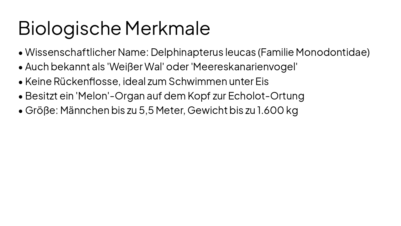 Slide 3 - Biologische Merkmale