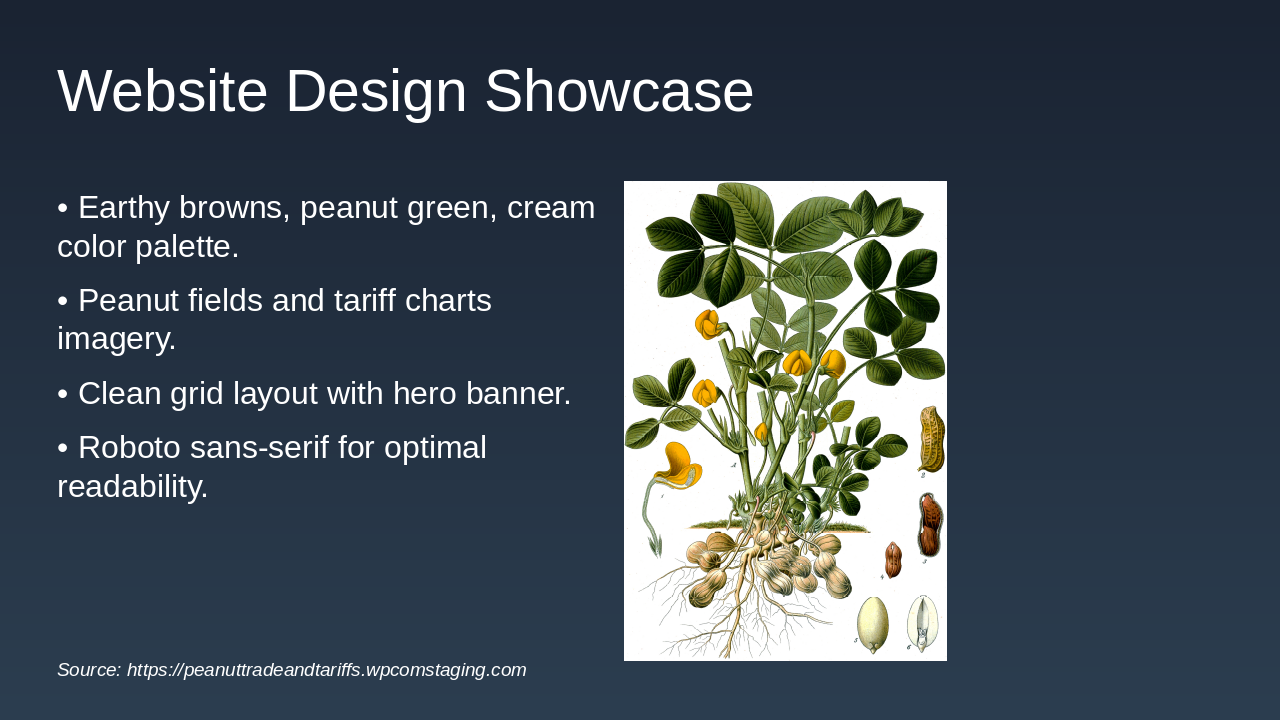Slide 3 - Website Design Showcase