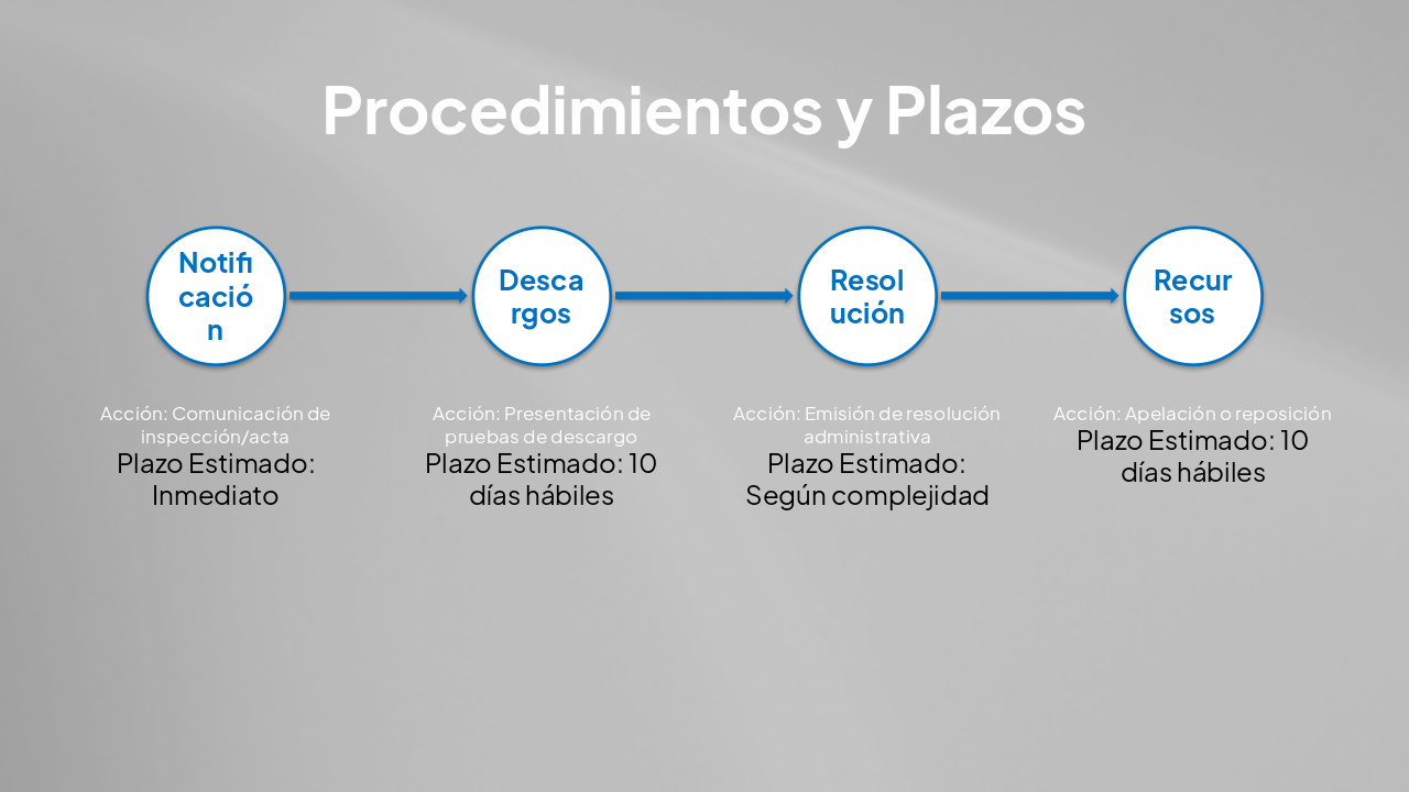 Slide 9 - Procedimientos y Plazos