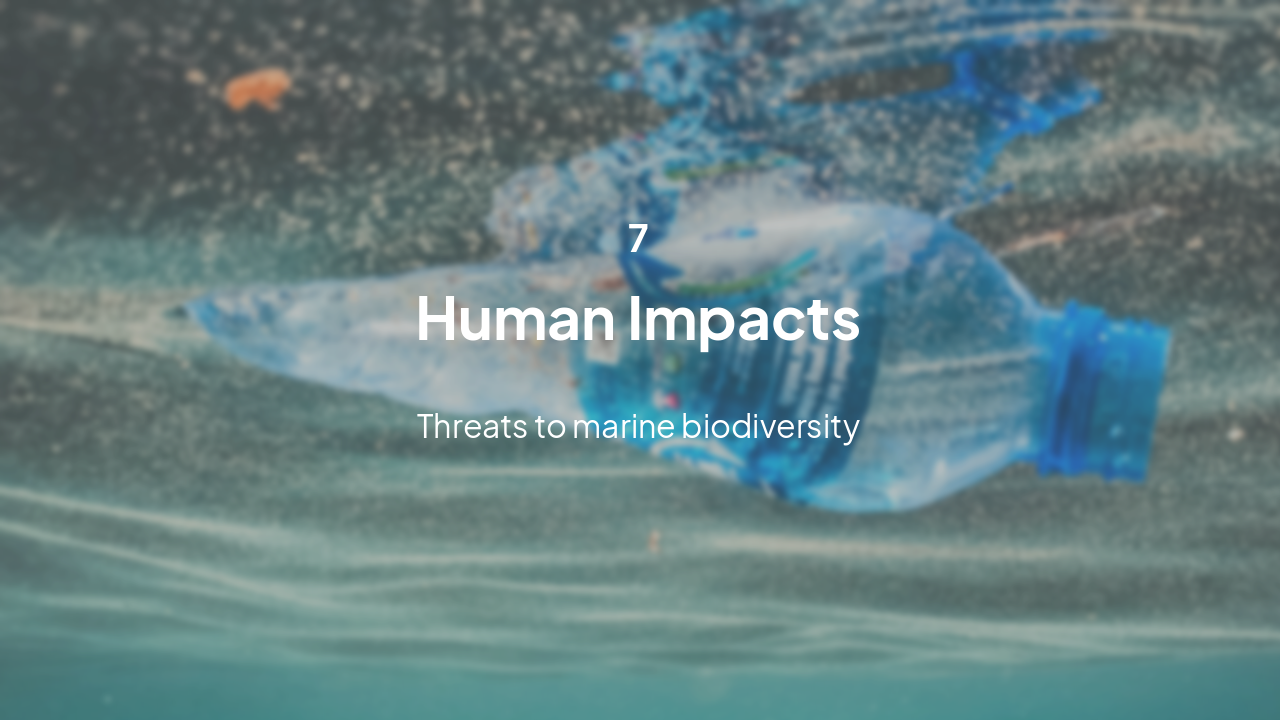 Slide 20 - Section 7